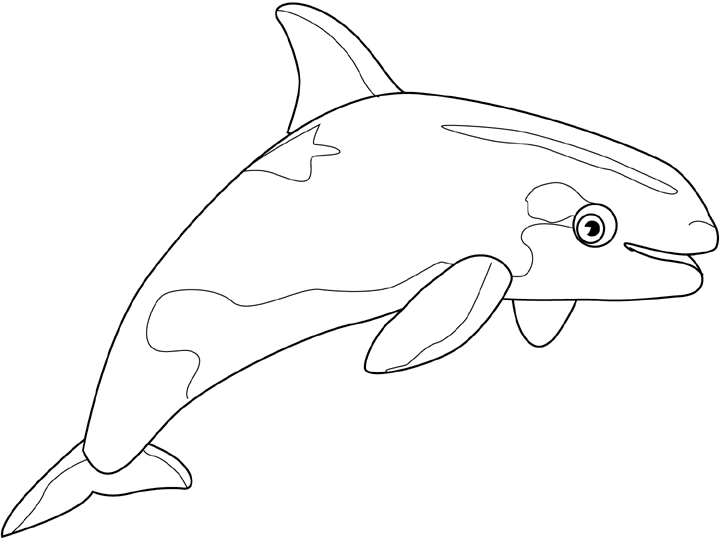 Malvorlage: Beluga (Tiere) #1073 - Kostenlose Malvorlagen zum Ausdrucken