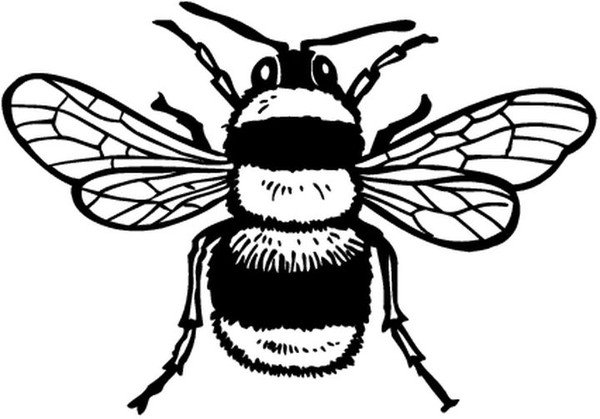 Malvorlage: Biene (Tiere) #97 - Kostenlose Malvorlagen zum Ausdrucken
