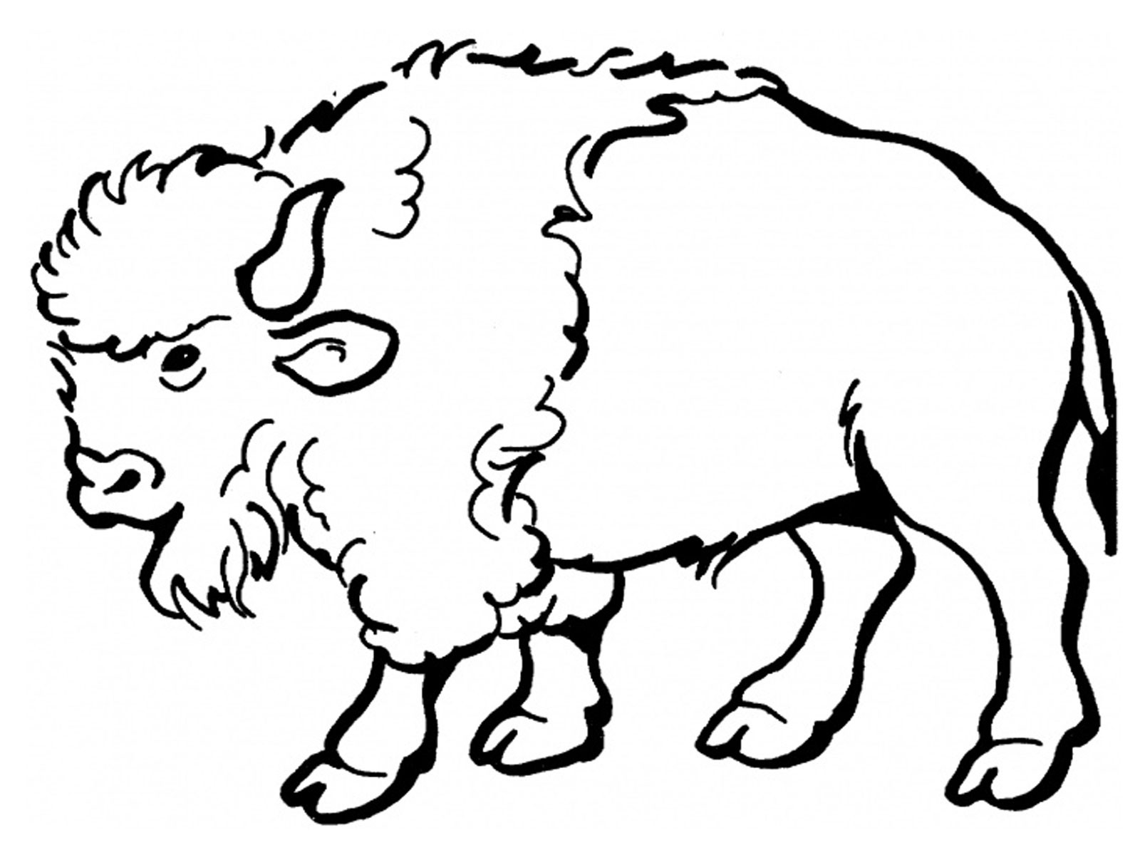 Malvorlage: Bison (Tiere) #1190 - Kostenlose Malvorlagen zum Ausdrucken
