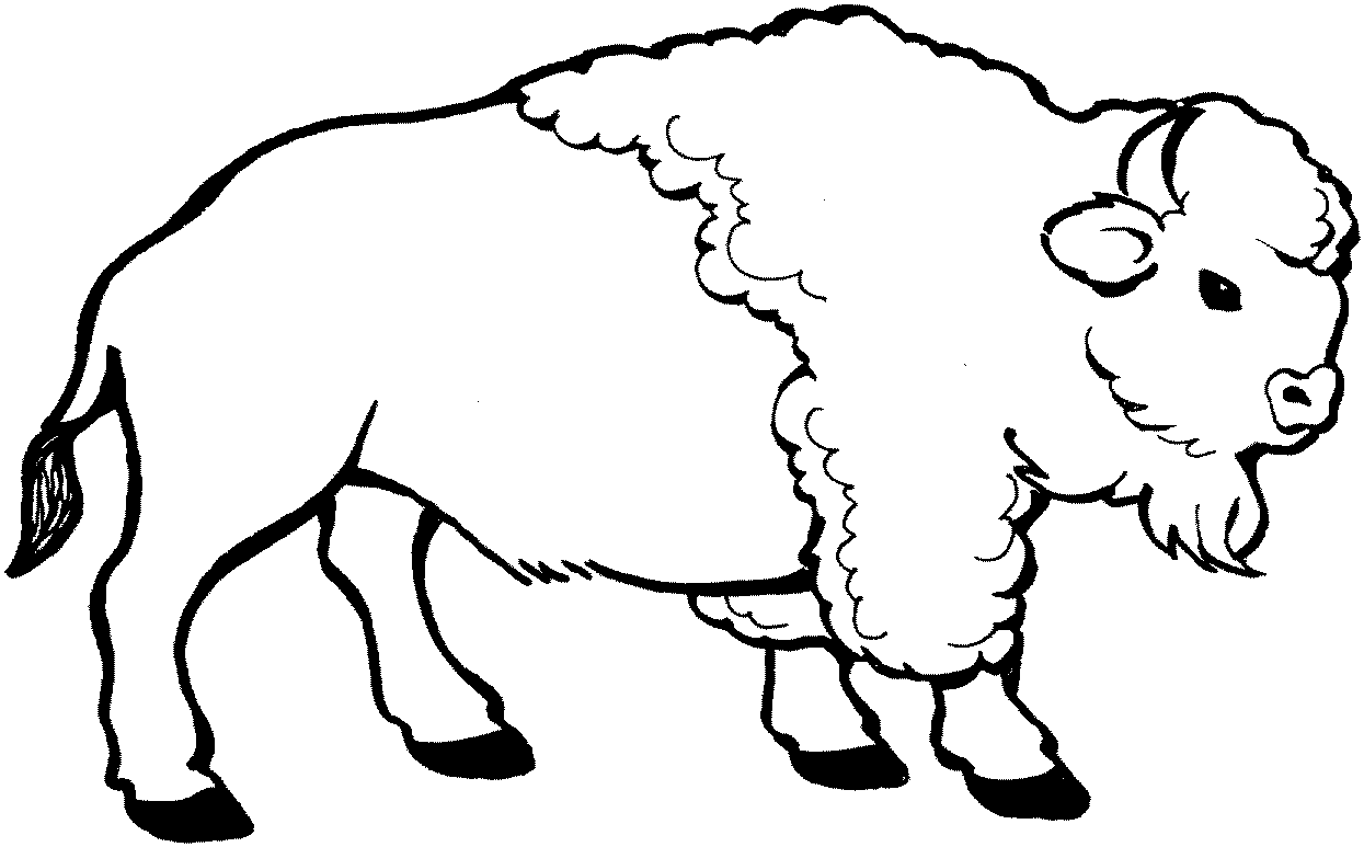 Malvorlage: Bison (Tiere) #1195 - Kostenlose Malvorlagen zum Ausdrucken