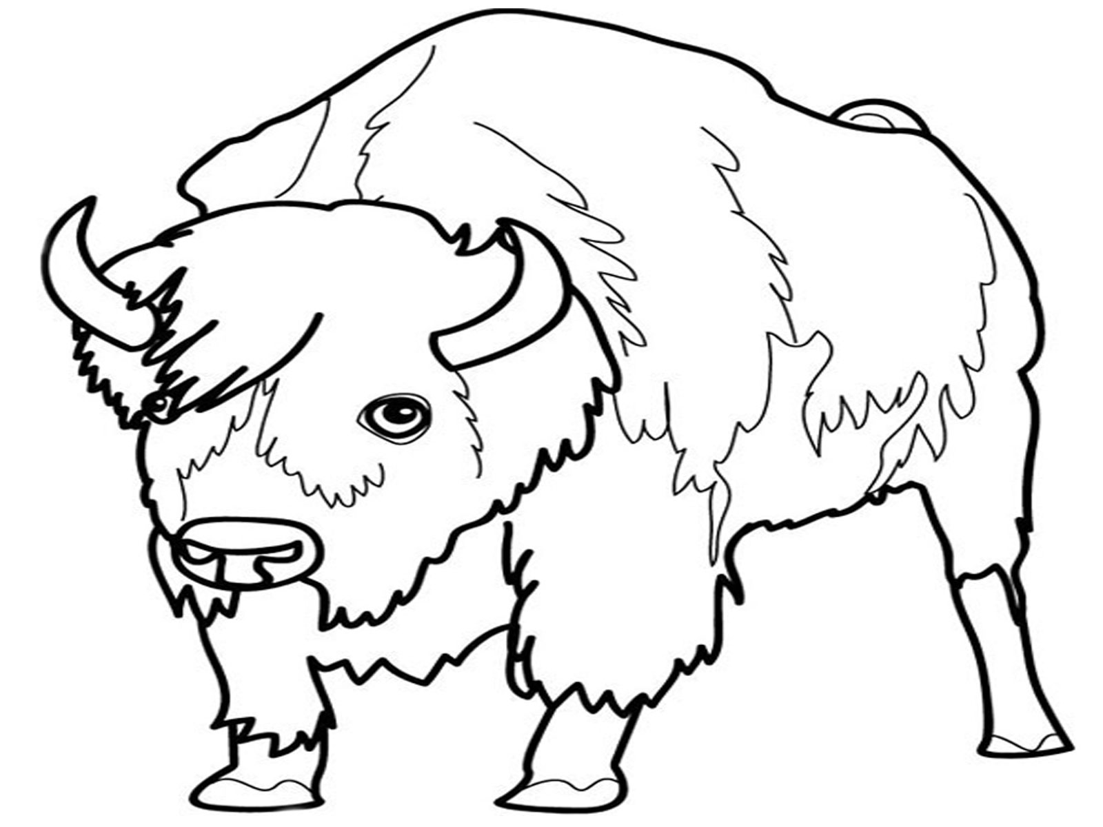 Malvorlage: Bison (Tiere) #1201 - Kostenlose Malvorlagen zum Ausdrucken