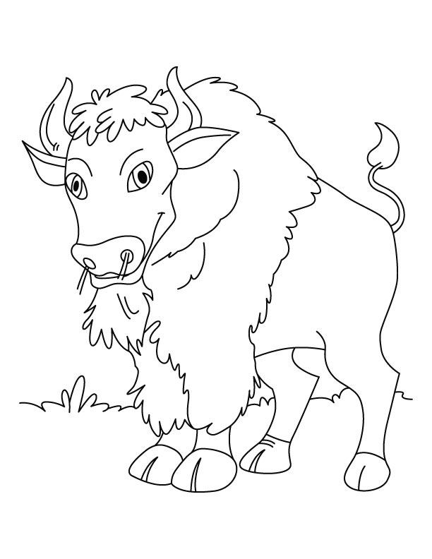Malvorlage: Bison (Tiere) #1219 - Kostenlose Malvorlagen zum Ausdrucken
