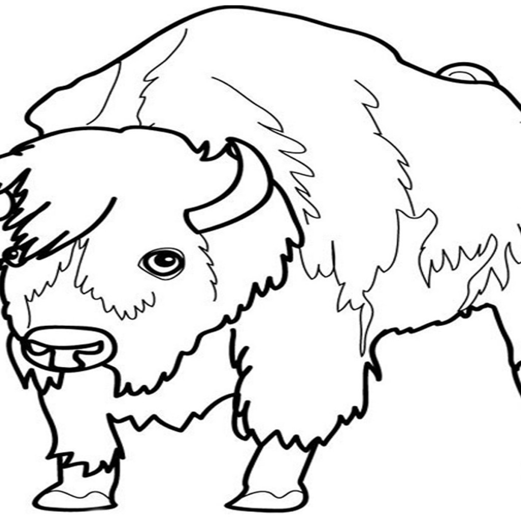 Malvorlage: Bison (Tiere) #1252 - Kostenlose Malvorlagen zum Ausdrucken