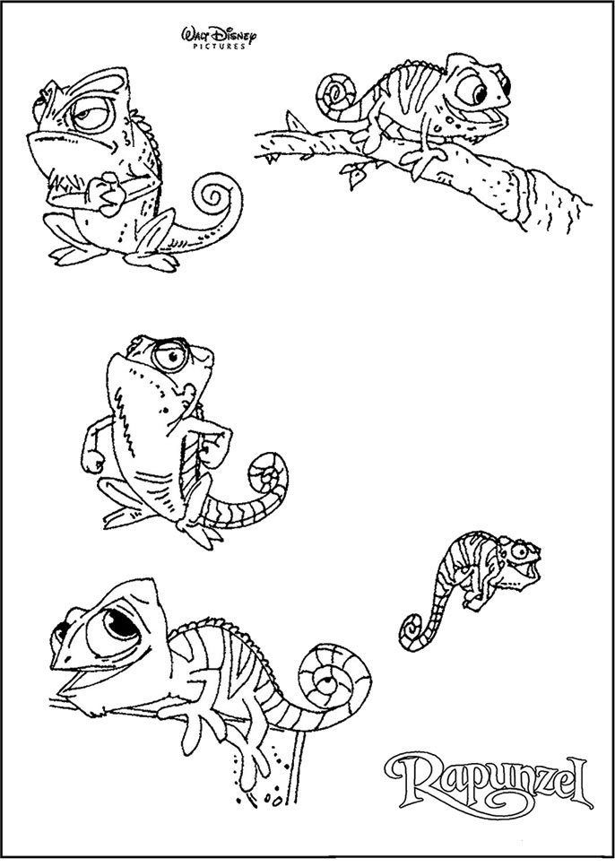 Malvorlage: Chamäleon (Tiere) #1429 - Kostenlose Malvorlagen zum Ausdrucken