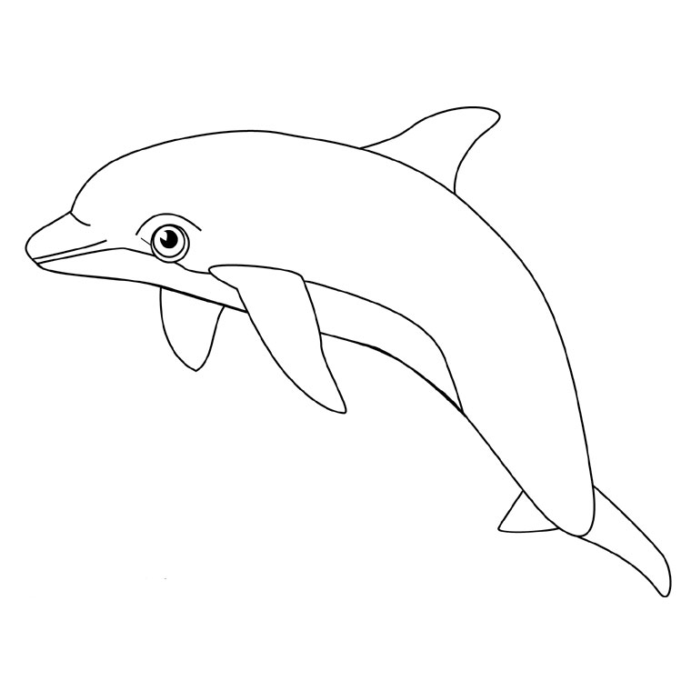 Malvorlage: Delfin (Tiere) #5096 - Kostenlose Malvorlagen zum Ausdrucken