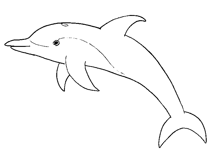 Malvorlage: Delfin (Tiere) #5114 - Kostenlose Malvorlagen zum Ausdrucken