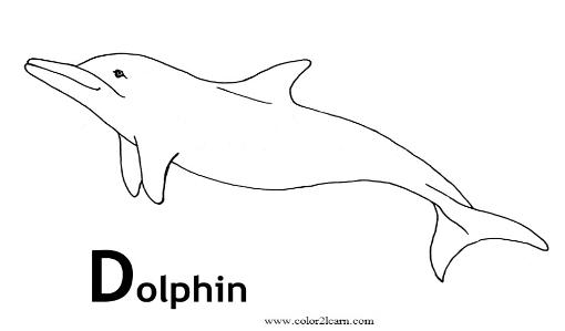 Malvorlage: Delfin (Tiere) #5157 - Kostenlose Malvorlagen zum Ausdrucken
