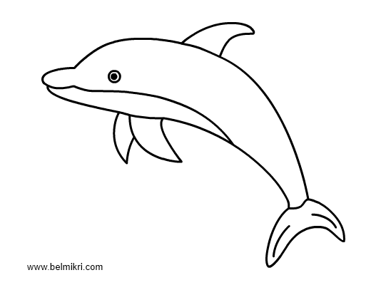 Malvorlage: Delfin (Tiere) #5162 - Kostenlose Malvorlagen zum Ausdrucken