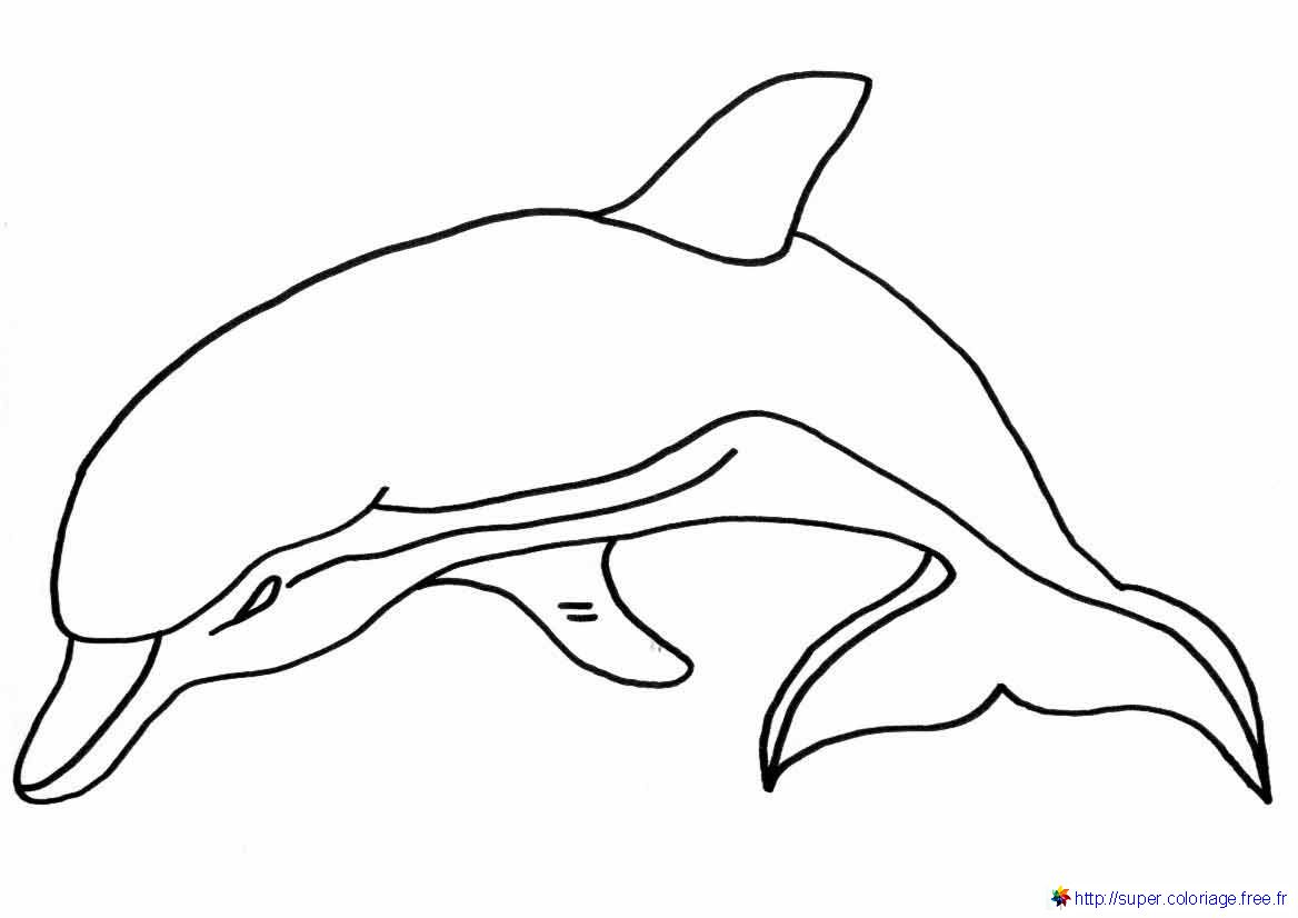 Malvorlage: Delfin (Tiere) #5186 - Kostenlose Malvorlagen zum Ausdrucken