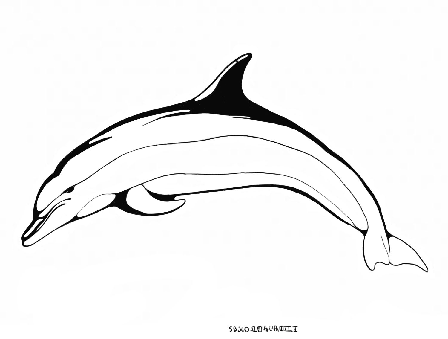 Malvorlage: Delfin (Tiere) #5220 - Kostenlose Malvorlagen zum Ausdrucken