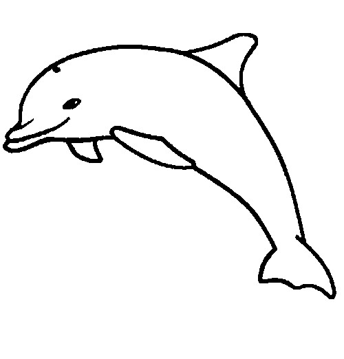 Malvorlage: Delfin (Tiere) #5283 - Kostenlose Malvorlagen zum Ausdrucken