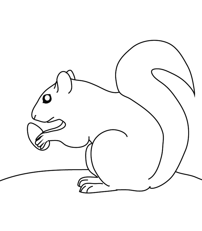Malvorlage: Eichhörnchen (Tiere) #6132 - Kostenlose Malvorlagen zum Ausdrucken