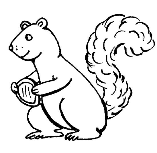 Malvorlage: Eichhörnchen (Tiere) #6133 - Kostenlose Malvorlagen zum Ausdrucken