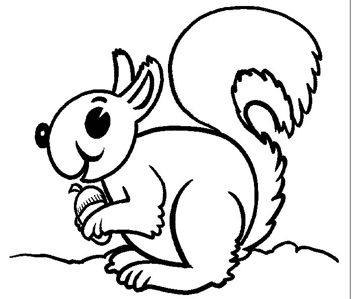 Malvorlage: Eichhörnchen (Tiere) #6138 - Kostenlose Malvorlagen zum Ausdrucken