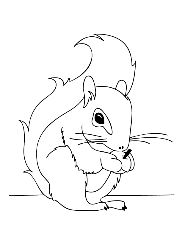 Malvorlage: Eichhörnchen (Tiere) #6142 - Kostenlose Malvorlagen zum Ausdrucken