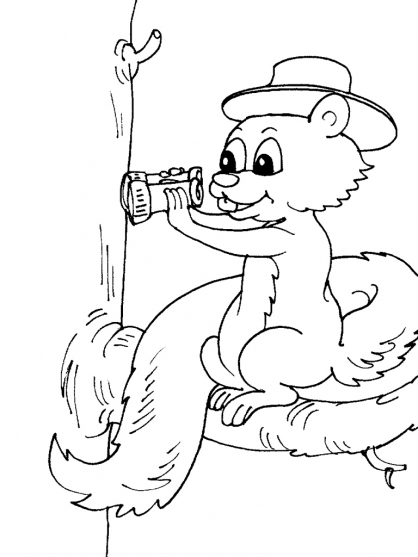Malvorlage: Eichhörnchen (Tiere) #6168 - Kostenlose Malvorlagen zum Ausdrucken