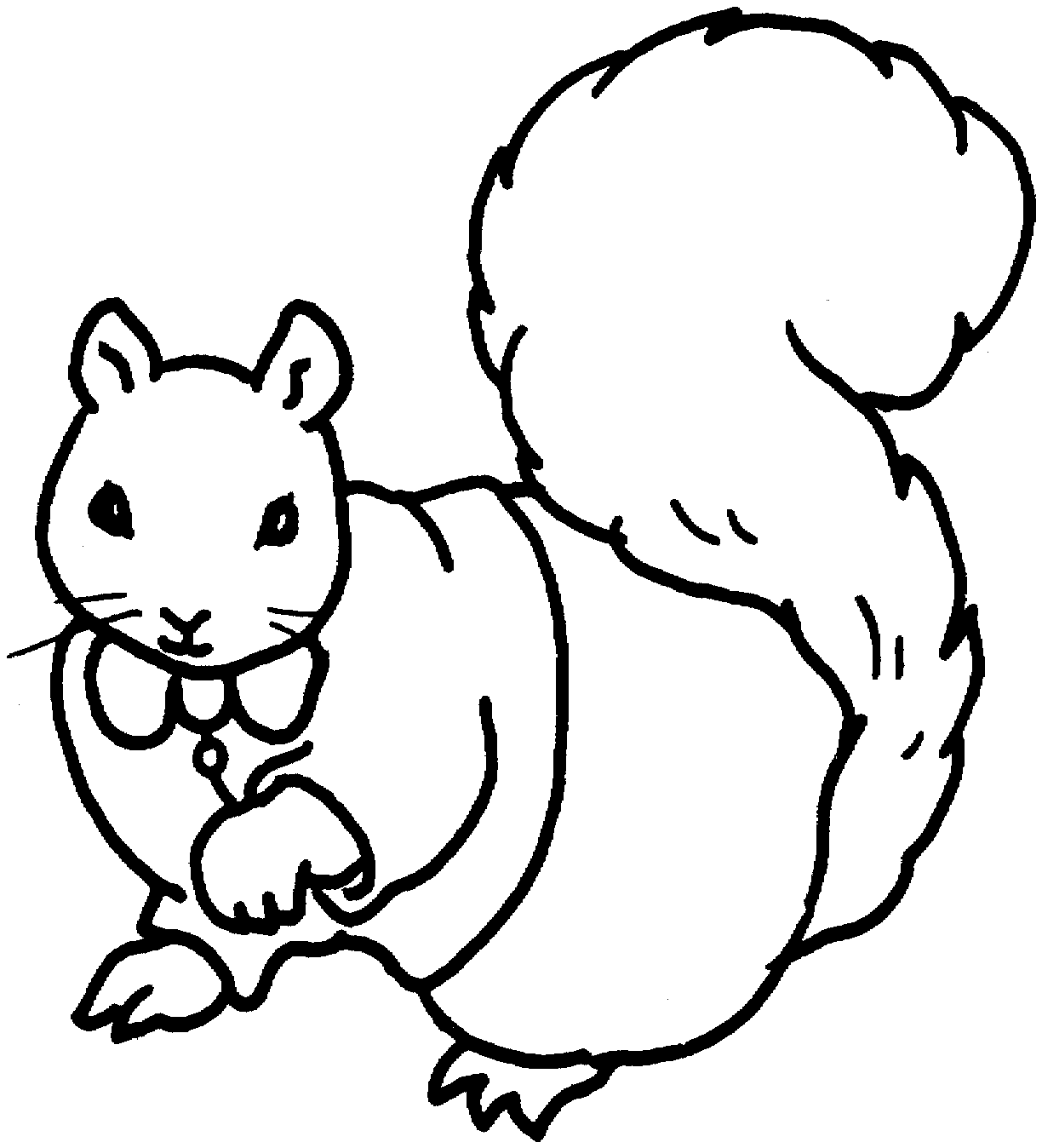 Malvorlage: Eichhörnchen (Tiere) #6177 - Kostenlose Malvorlagen zum Ausdrucken