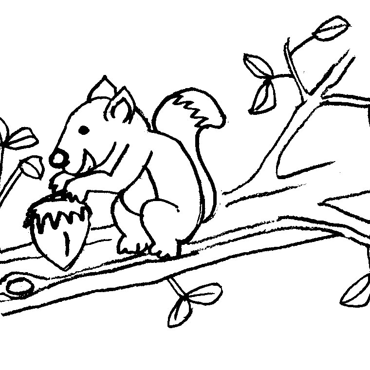 Malvorlage: Eichhörnchen (Tiere) #6194 - Kostenlose Malvorlagen zum Ausdrucken