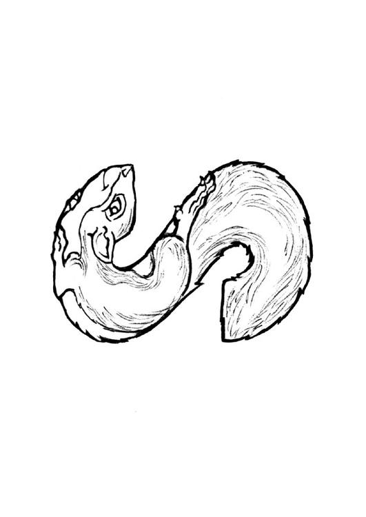 Malvorlage: Eichhörnchen (Tiere) #6241 - Kostenlose Malvorlagen zum Ausdrucken