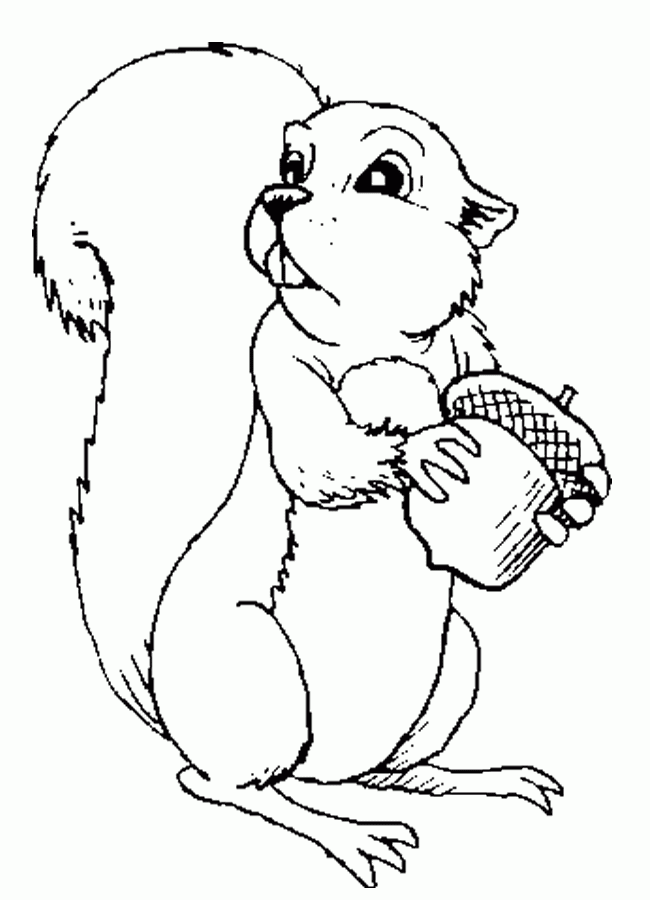 Malvorlage: Eichhörnchen (Tiere) #6242 - Kostenlose Malvorlagen zum Ausdrucken