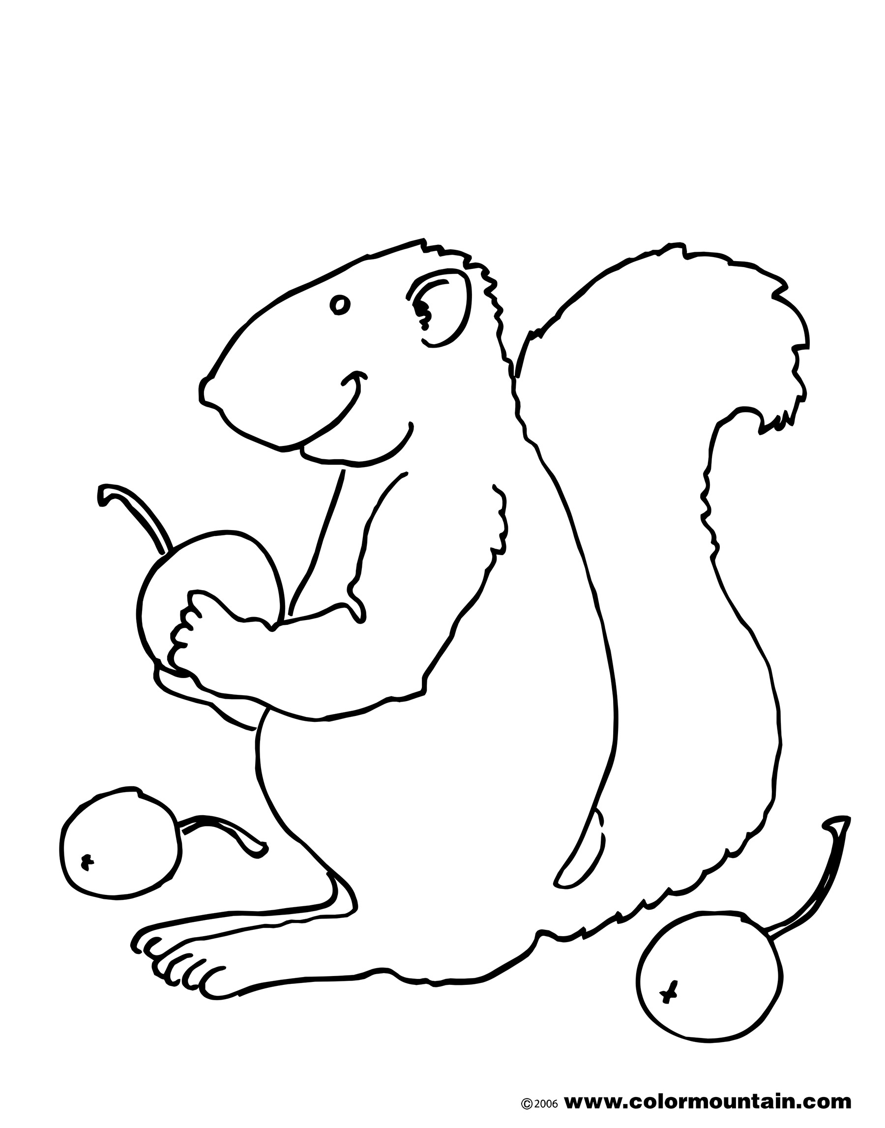 Malvorlage: Eichhörnchen (Tiere) #6250 - Kostenlose Malvorlagen zum Ausdrucken
