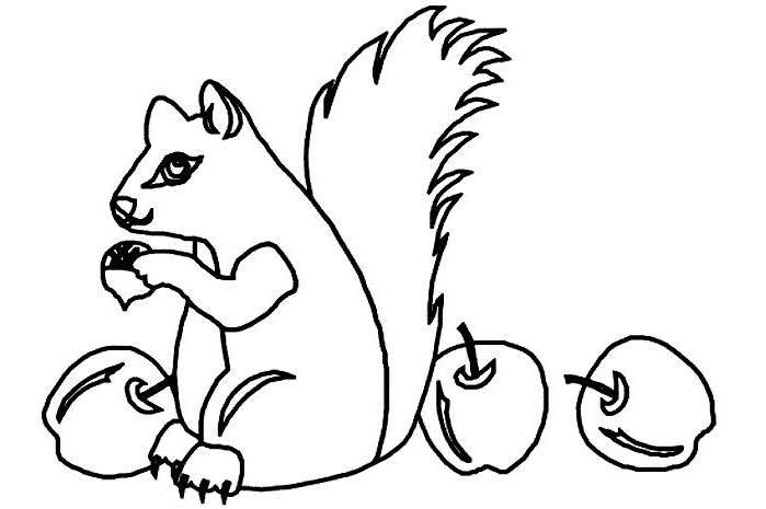 Malvorlage: Eichhörnchen (Tiere) #6255 - Kostenlose Malvorlagen zum Ausdrucken