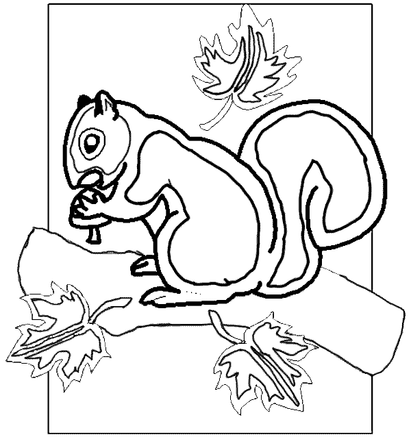 Malvorlage: Eichhörnchen (Tiere) #6278 - Kostenlose Malvorlagen zum Ausdrucken
