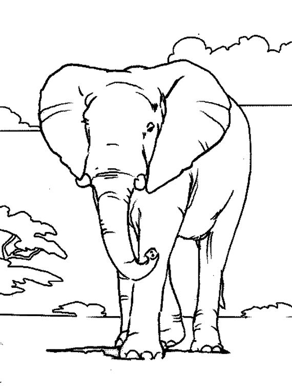 Malvorlage: Elefant (Tiere) #6301 - Kostenlose Malvorlagen zum Ausdrucken