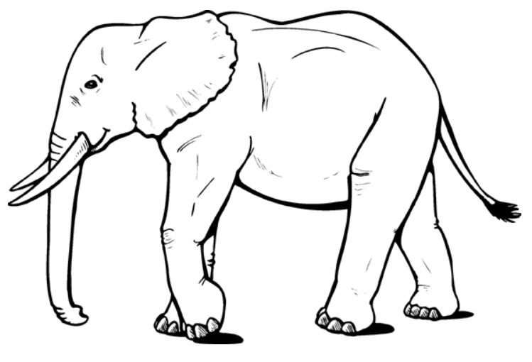 Malvorlage: Elefant (Tiere) #6310 - Kostenlose Malvorlagen zum Ausdrucken