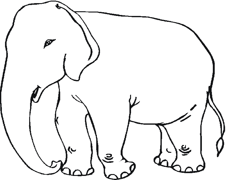 Malvorlage: Elefant (Tiere) #6342 - Kostenlose Malvorlagen zum Ausdrucken