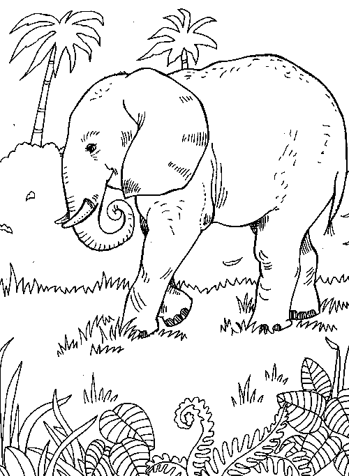 Malvorlage: Elefant (Tiere) #6345 - Kostenlose Malvorlagen zum Ausdrucken