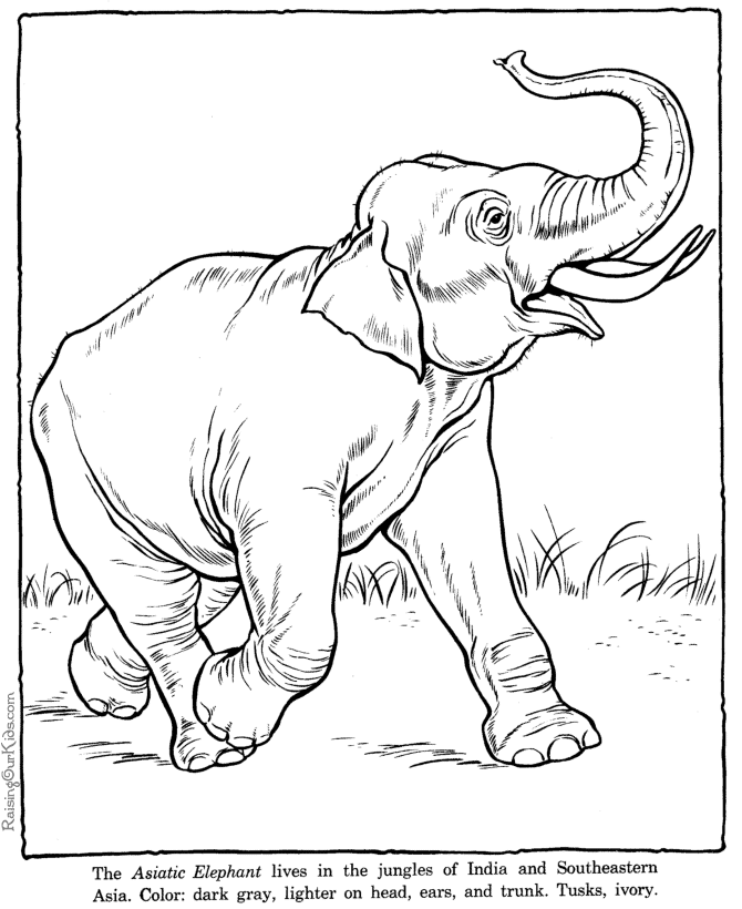 Malvorlage: Elefant (Tiere) #6418 - Kostenlose Malvorlagen zum Ausdrucken