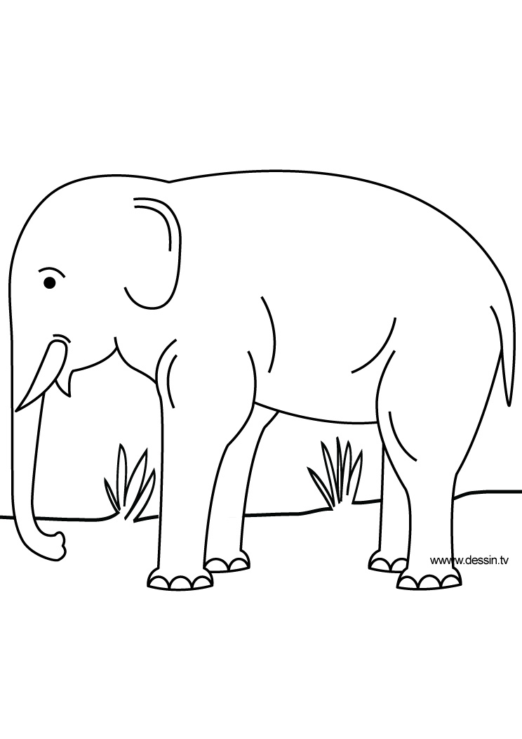 Malvorlage: Elefant (Tiere) #6440 - Kostenlose Malvorlagen zum Ausdrucken