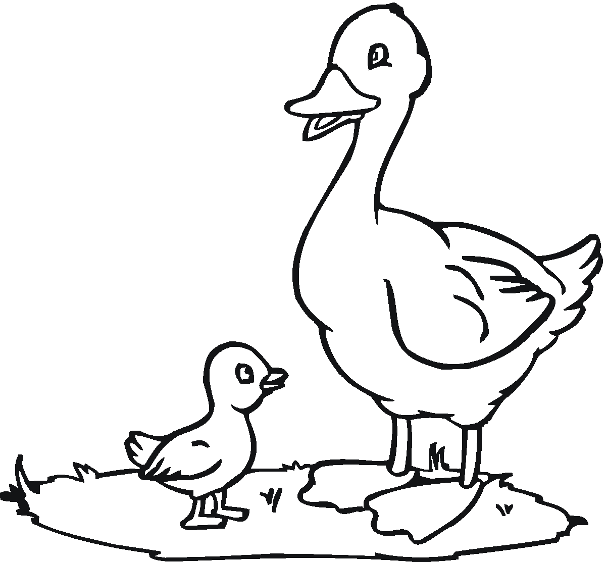Malvorlage: Ente (Tiere) #1442 - Kostenlose Malvorlagen zum Ausdrucken