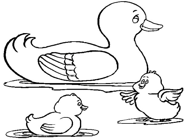 Malvorlage: Ente (Tiere) #1445 - Kostenlose Malvorlagen zum Ausdrucken