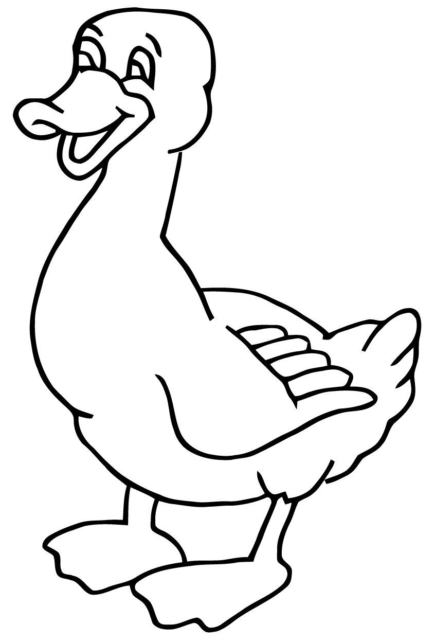Malvorlage: Ente (Tiere) #1463 - Kostenlose Malvorlagen zum Ausdrucken