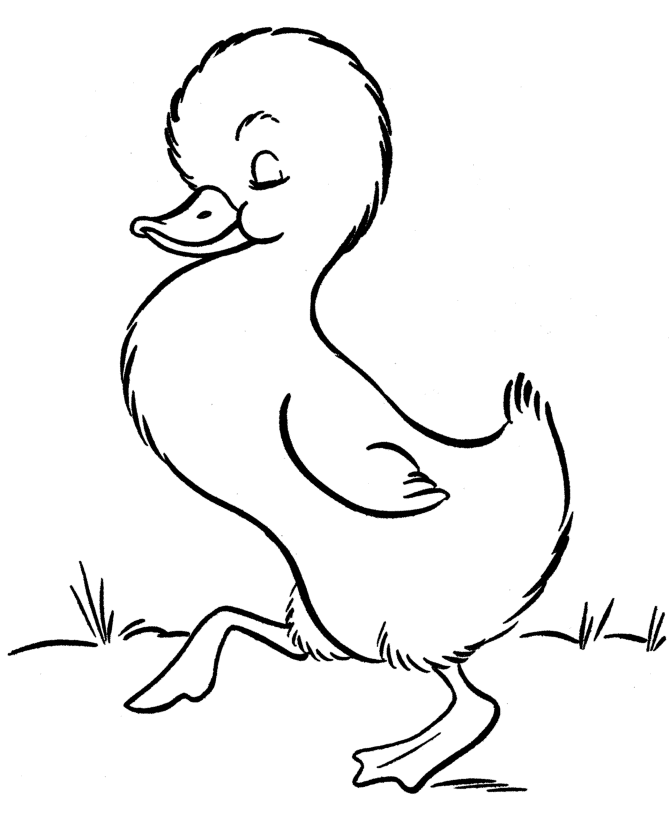 Malvorlage: Ente (Tiere) #1479 - Kostenlose Malvorlagen zum Ausdrucken