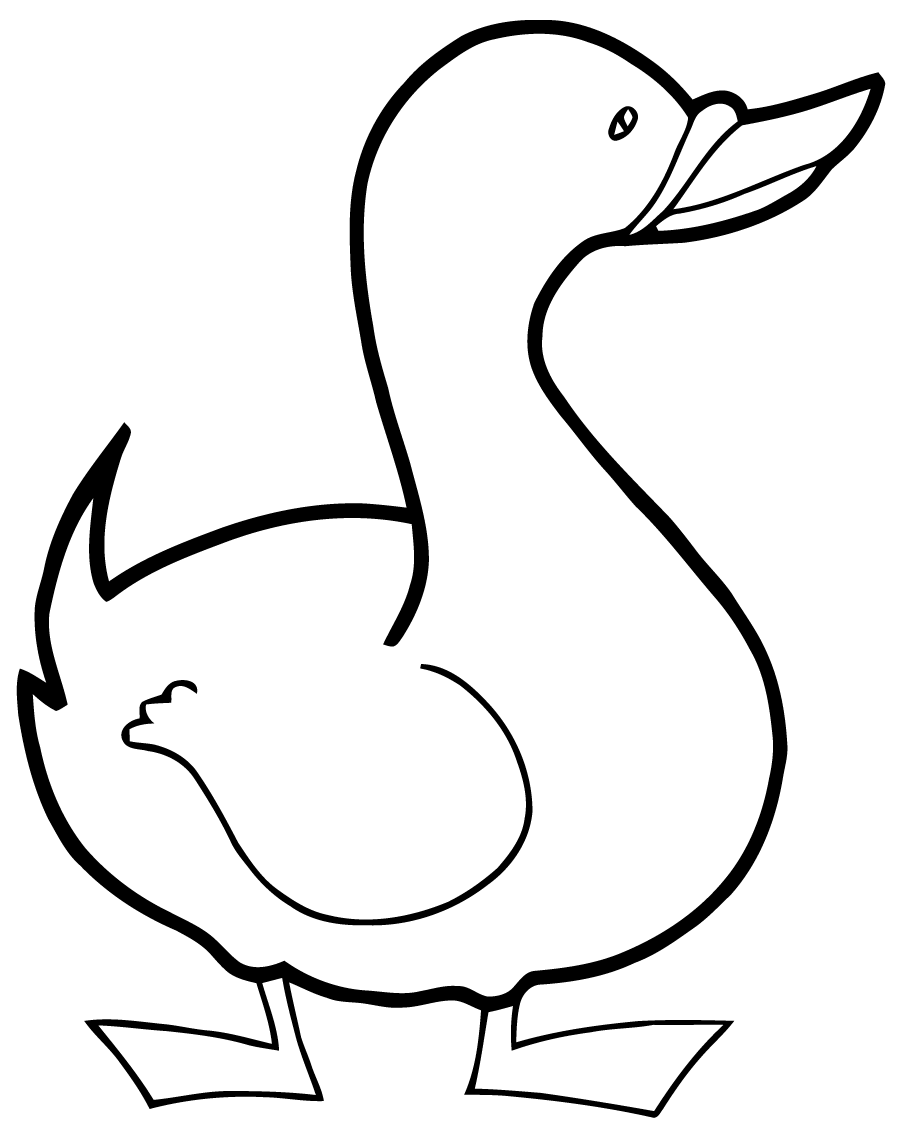 Malvorlage: Ente (Tiere) #1484 - Kostenlose Malvorlagen zum Ausdrucken