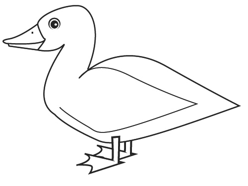 Malvorlage: Ente (Tiere) #1492 - Kostenlose Malvorlagen zum Ausdrucken
