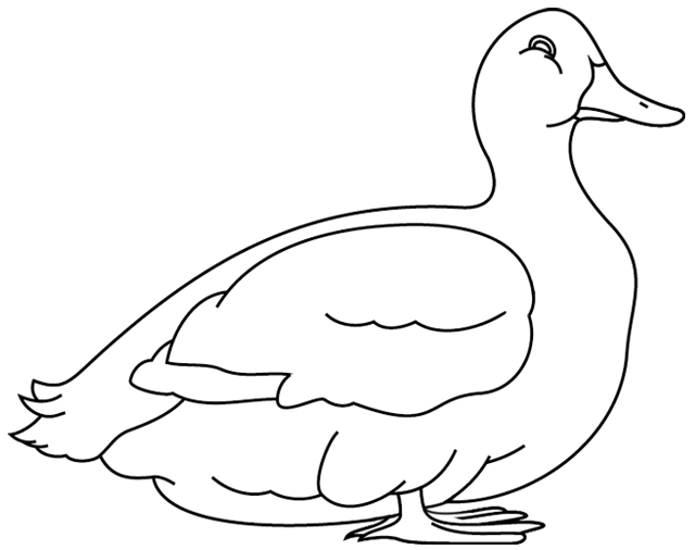 Malvorlage: Ente (Tiere) #1503 - Kostenlose Malvorlagen zum Ausdrucken