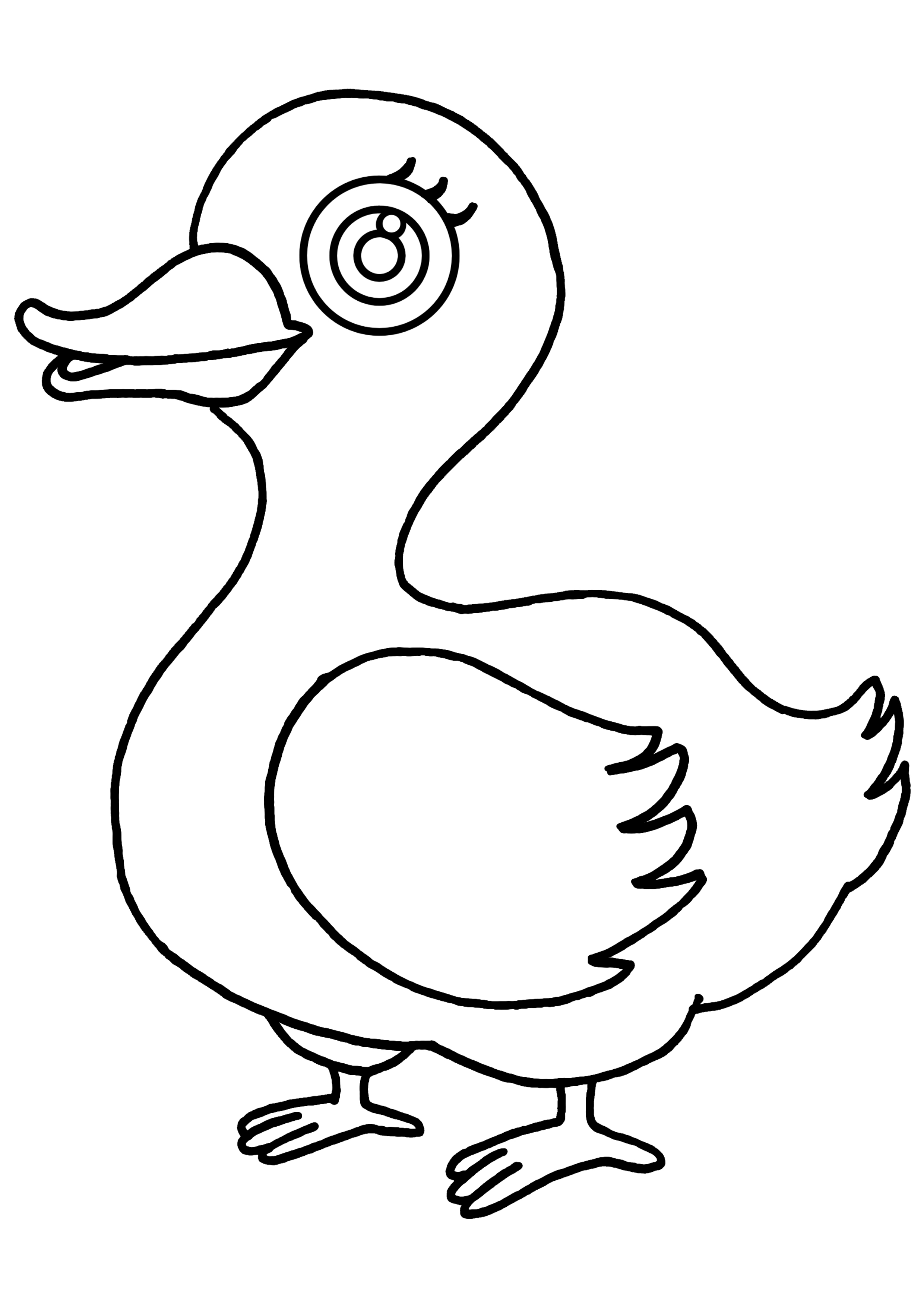 Malvorlage: Ente (Tiere) #1507 - Kostenlose Malvorlagen zum Ausdrucken