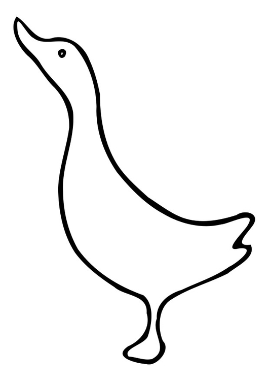 Malvorlage: Ente (Tiere) #1514 - Kostenlose Malvorlagen zum Ausdrucken