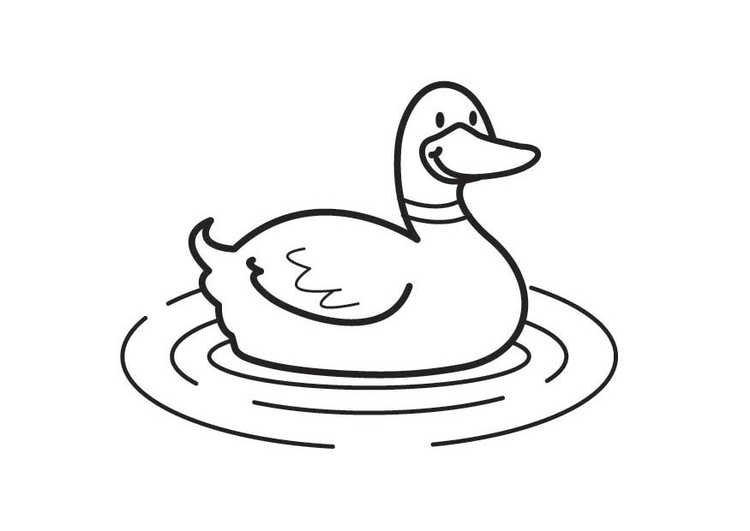 Malvorlage: Ente (Tiere) #1515 - Kostenlose Malvorlagen zum Ausdrucken