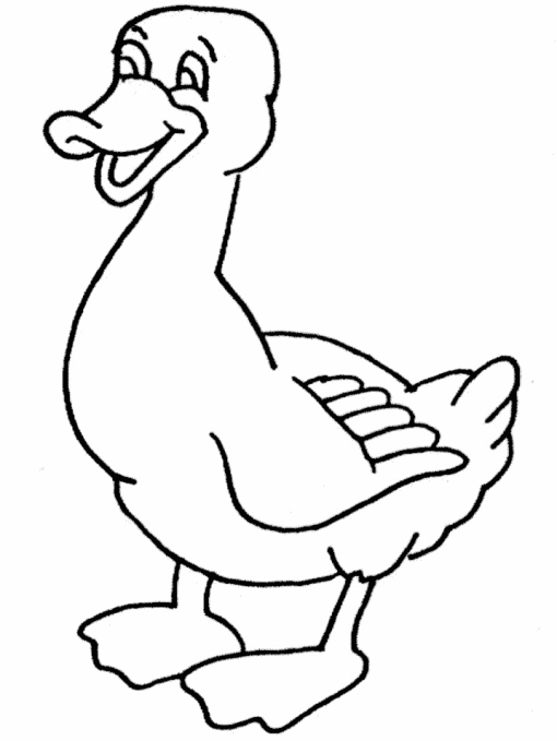 Malvorlage: Ente (Tiere) #1524 - Kostenlose Malvorlagen zum Ausdrucken