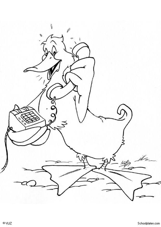Malvorlage: Ente (Tiere) #1526 - Kostenlose Malvorlagen zum Ausdrucken