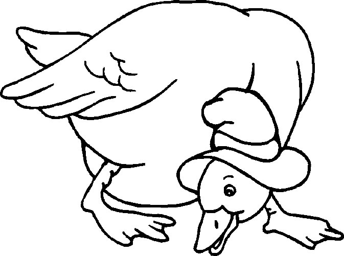 Malvorlage: Ente (Tiere) #1539 - Kostenlose Malvorlagen zum Ausdrucken