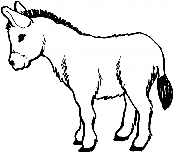 Malvorlage: Esel (Tiere) #475 - Kostenlose Malvorlagen zum Ausdrucken