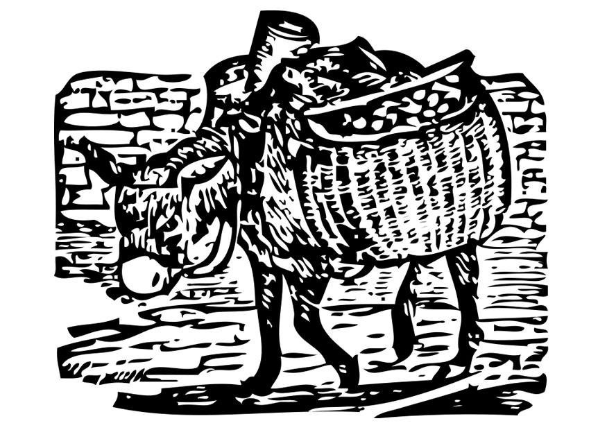Malvorlage: Esel (Tiere) #528 - Kostenlose Malvorlagen zum Ausdrucken