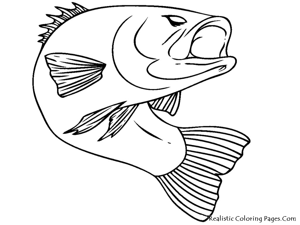 Malvorlage: Fisch (Tiere) #17040 - Kostenlose Malvorlagen zum Ausdrucken