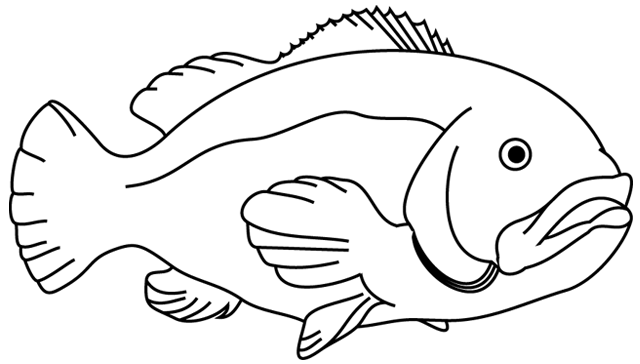 Malvorlage: Fisch (Tiere) #17124 - Kostenlose Malvorlagen zum Ausdrucken